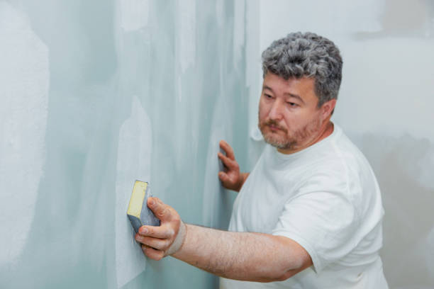 Best Asbestos and Lead Testing During Mold Inspection  in Brown City, MI